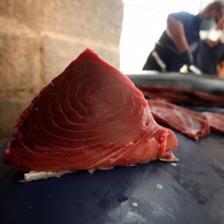El atún rojo de almadraba, manjar e identidad para Cádiz
