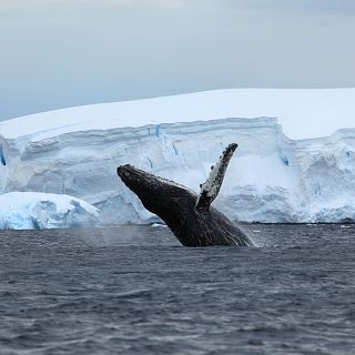 Las ciencias oceánicas para conseguir un planeta sano