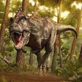 Carnosaurios, herbisaurios y humanos… ma non troppo