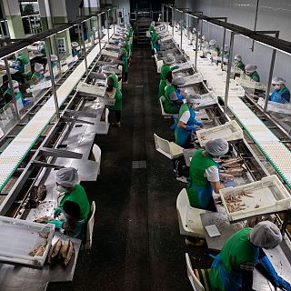 Impulsar el desarrollo de las industrias marítimas españolas