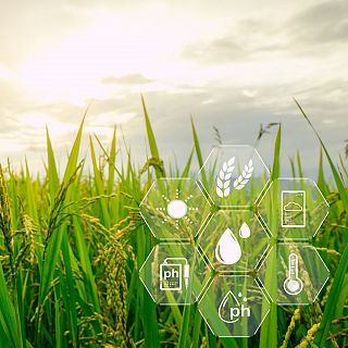 El ‘agritech’ español atrae inversión extranjera