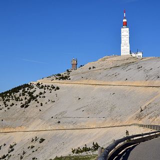 Atriles entre los árboles