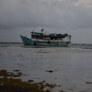 Reportajes 5 continentes - Reportajes 5 continentes - Inmigrantes ante Donald Trump - Escuchar ahora