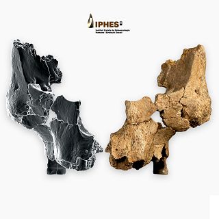 Descubren una nueva especie humana en Atapuerca