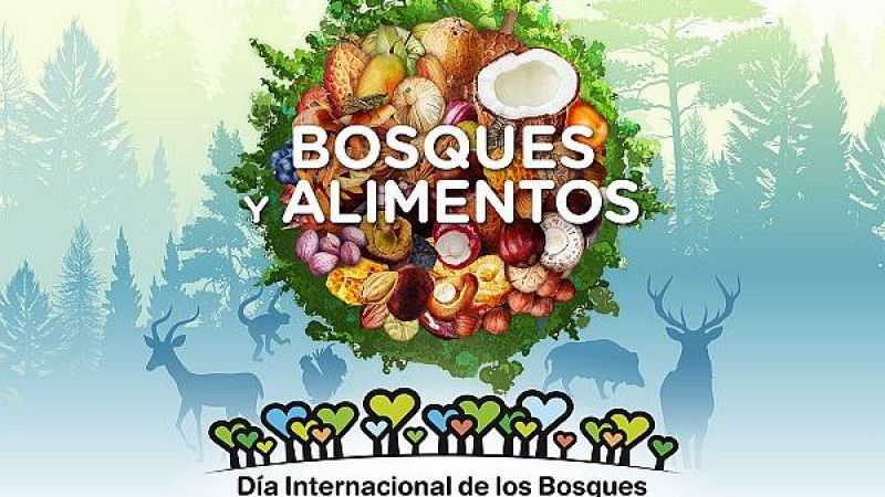 Escapadas - Escapadas a los bosques - 21/03/25 - Escuchar ahora