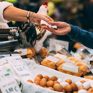 Memoria de delfín - Memoria de delfín - Ultramarinos: los últimos supervivientes - Escuchar ahora