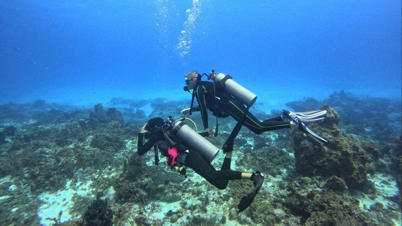 Ciencia para la vida y el medio ambiente - Escuchar ahora