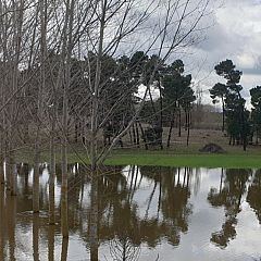 Más cerca - Prevenir los riesgos de las crecidas de los ríos