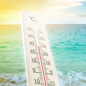 Planeta vivo - Planeta vivo - Más calor, menos pesca - 26/03/2025 - Escuchar ahora