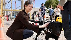 Para que veas - Los perros guía más felices del mundo se forman en España - 31/03/25