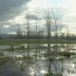 Teruel - Laguna El Cañizar