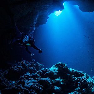 Memoria de delfín - Fosa de las Marianas: 11.000 metros bajo el mar - escuchar ahora