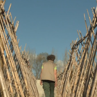 Pamplona - La Huerta de la Mejana de Tudela