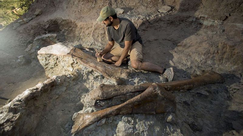 A golpe de bit en Radio 5 - Un fósil olvidado en Portugal revela una nueva especie de dinosaurios - 23/04/25 - Escuchar ahora