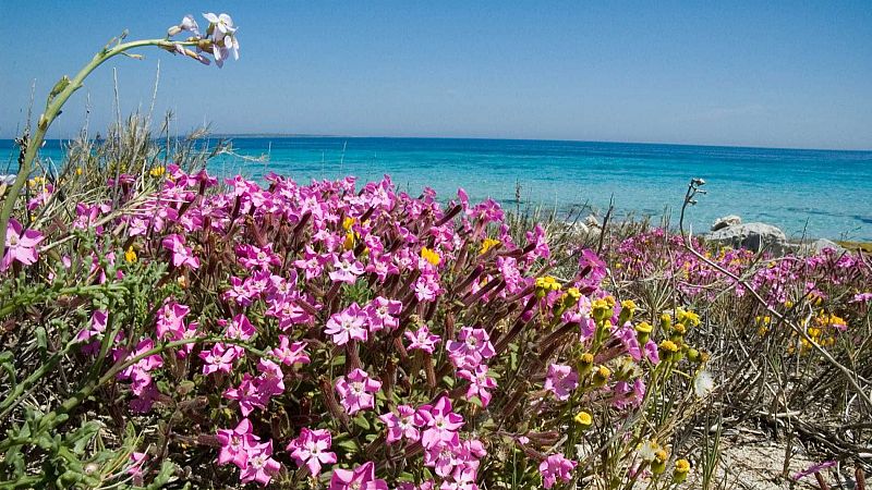 Escapadas - Caminando en la isla de la calma - 25/04/25 - Escuchar ahora
