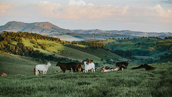 El turisme rural frega el 55% d'ocupació pel pont de maig