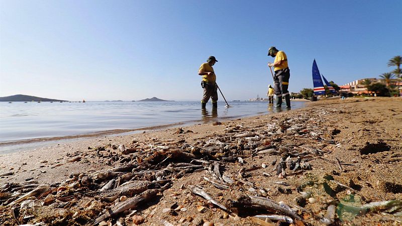 L'ENTRELLAT - El Mar Menor, pioner mundial: ?Serà el primer ecosistema que es persona com a acusació particular en un judici?