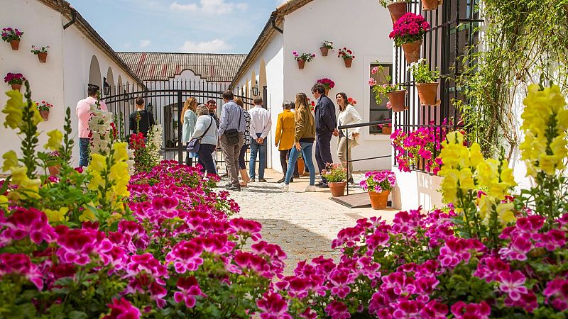 Degustar Espaa - Viaje a los Patios de Bodega en Montilla - 10/05/25 - Escuchar ahora