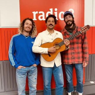 Sexy Zebras presentan "Bravo"