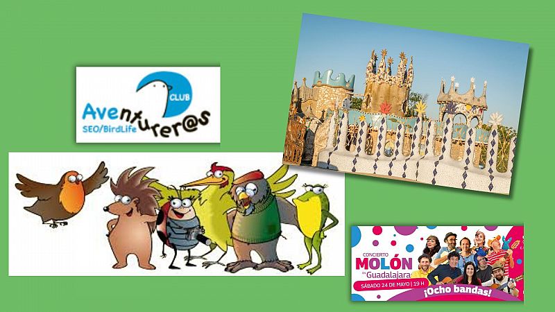 Menudo planazo en Radio 5 - Aves aventureras y una casa de cuento - 10/05/25 - Escuchar ahora