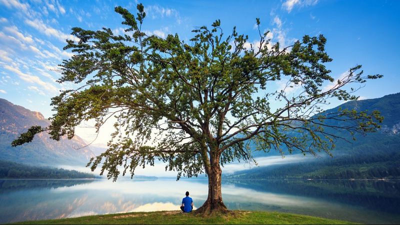 Músicas con alma - Abrazar la soledad - 13/05/25 - escuchar ahora