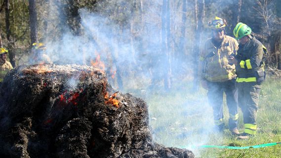 Les pluges canvien la tendncia de la campanya forestal