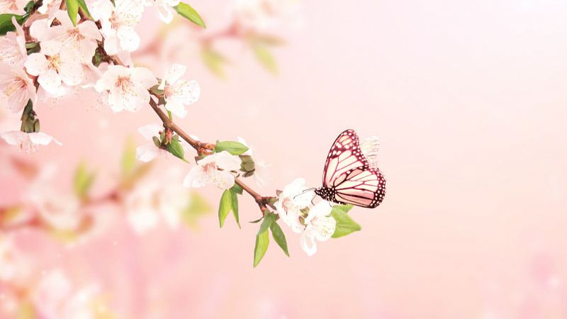Sinfonía de la mañana - La ópera con final más triste de la historia - 19/05/25 - escuchar ahora
