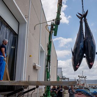 La huelga de los inspectores de pesca