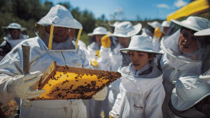 Escapadas - De turismo con las abejas - 20/05/25 - Escuchar ahora
