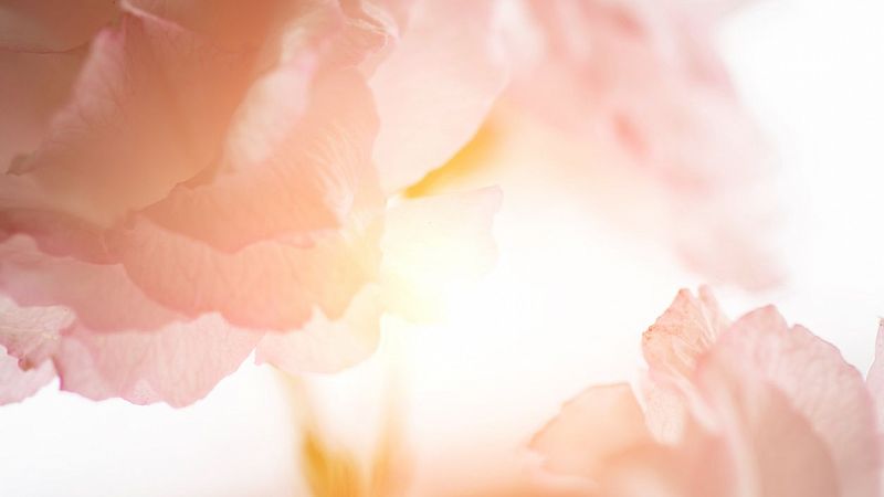 Música a la carta - Belleza y bondad - 29/05/25 - escuchar ahora 