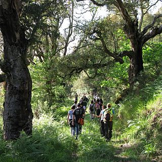 Adega: 50 años de lucha ecologista