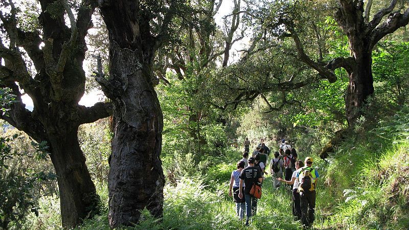 Reserva natural - Adega: 50 años de lucha ecologista - 29/05/25 - Escuchar ahora