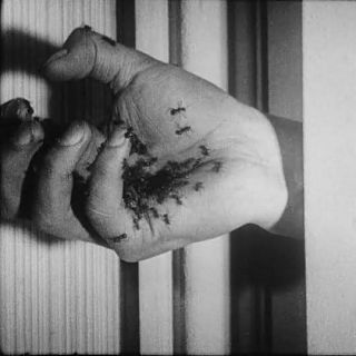 Relato sobre Buñuel y Dalí
