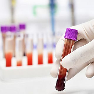 Sangre codificada: el secreto para prolongar la vida