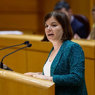 Bailac, ERC: "Pedimos al Gobierno que todos los inmuebles de la Sareb pasen a ser del parque público de vivienda"