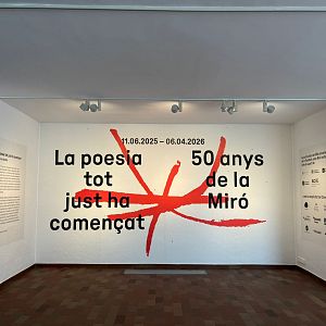 Són 4 dies - 50 Anys de la Fundació Miró - Són 4 dies | Escoltar