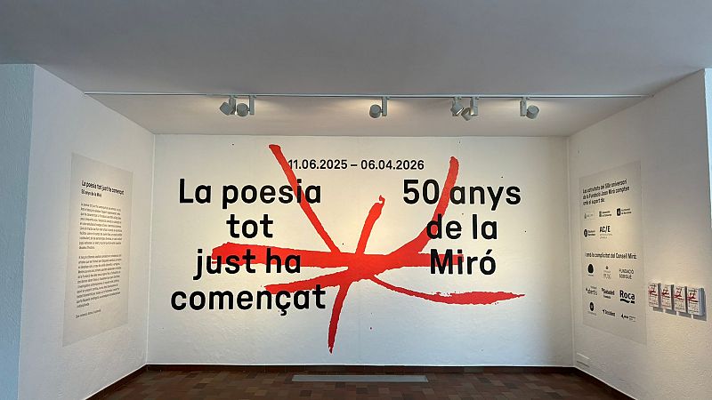 50 Anys de la Fundaci Mir - Sn 4 dies | Escuchar