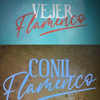 Conil y Vejer flamencos