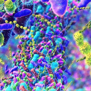 Microbiota, con Jos Carlos Clemente