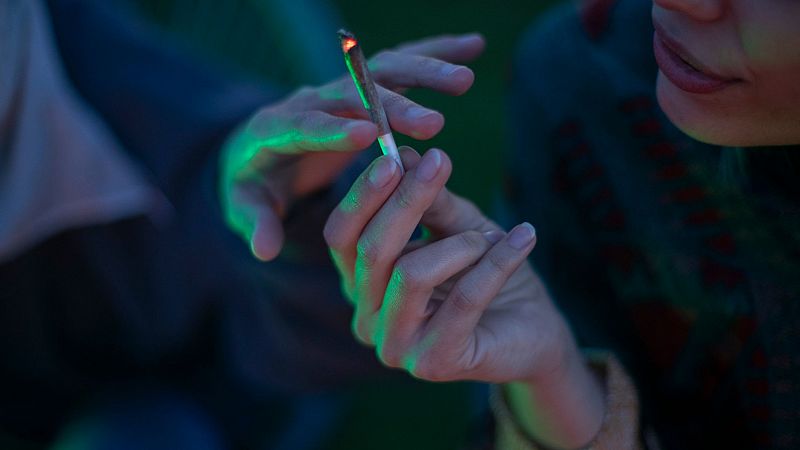 Memoria de delfín - Día Mundial contra la Droga: historias de superación - Escuchar ahora