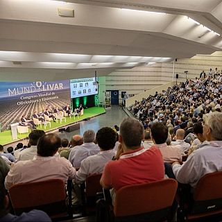 Tercer Congreso Mundial de Olivicultura y Elaiotecnia