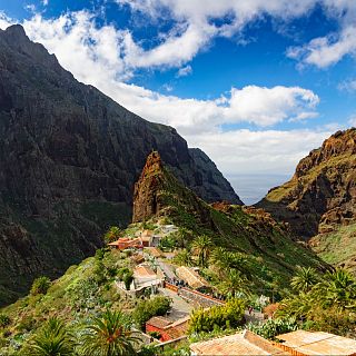 Tenerife - Relaciones ecológicas en islas oceánicas