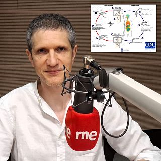 Inteligencia Artificial contra la enfermedad del sueño