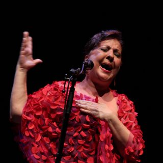 La Zarzamora: Carmen Linares