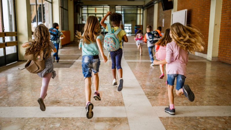 L'ENTRELLAT - El trencaclosques de la conciliaci familiar a l'estiu: s possible encaixar totes les peces? Us proposem algunes solucions - L'Entrellat | Escoltar