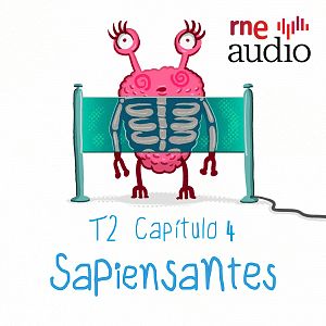 Sapiensantes - Sapiensates - ¿Cómo funcionan los rayos X? | RNE Audio - Sapiensantes | Escuchar