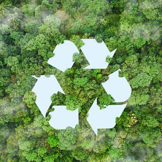 Economa circular