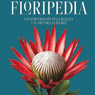 A la recerca de la bellesa i les veritables riqueses