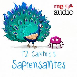 Sapiensantes - Sapiensantes - T2. E5. ¿Por qué los pavos reales tienen la cola así? - Escuchar ahora