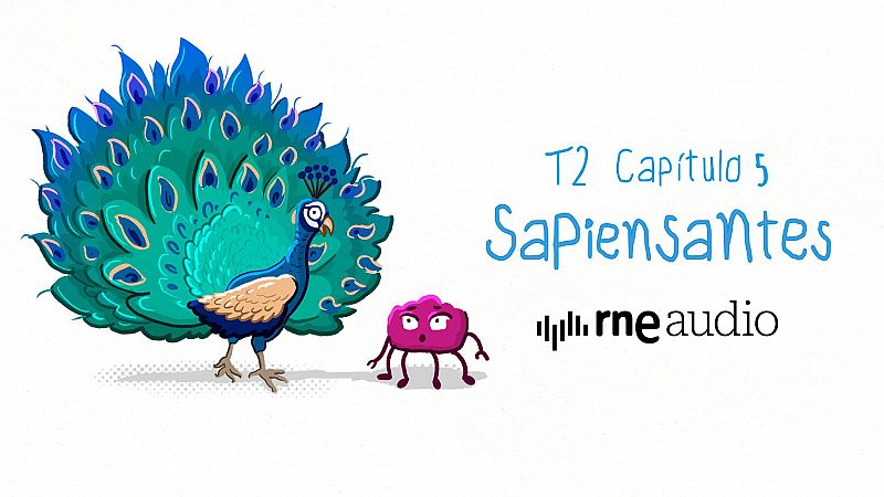Sapiensantes - Por qu los pavos reales tienen la cola as? - Escuchar ahora